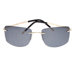 Breed Aero Polarized Sunglasses - Gold/Black BSG041GD