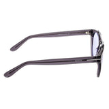 Bertha Ava Polarized Sunglasses - Grey/Purple BRSBR011G