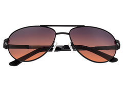 Breed Leo Titanium Polarized Sunglasses - Black/Brown