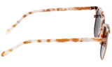 Sixty One Kewarra Polarized Sunglasses - Brown/Black SIXS104BN