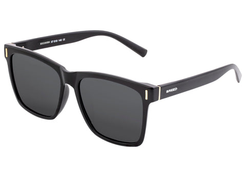 Breed Pictor Polarized Sunglasses - Black/Black BSG065BK